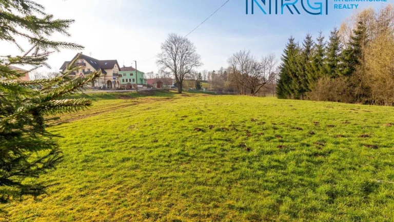 Prodej pozemku 800 m2, Horní Olešnice