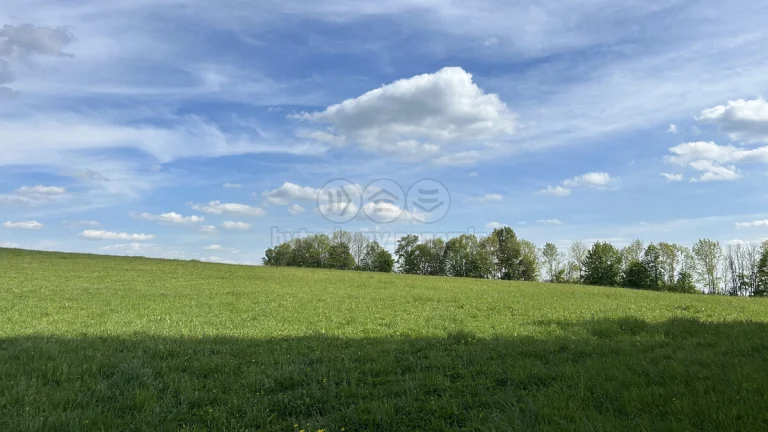 Prodej pole, 6070 m², Jestřabí v Krkonoších