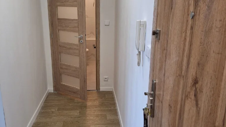 Světlý byt 2+1 v OV po rekonstrukci, 45 m², Dubina