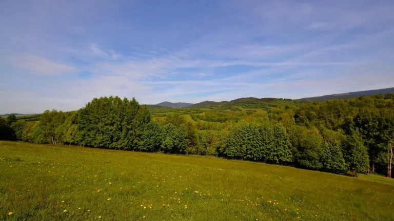Prodej pozemku, 45 289 m2, Horní Lánov, ev.č. 00475