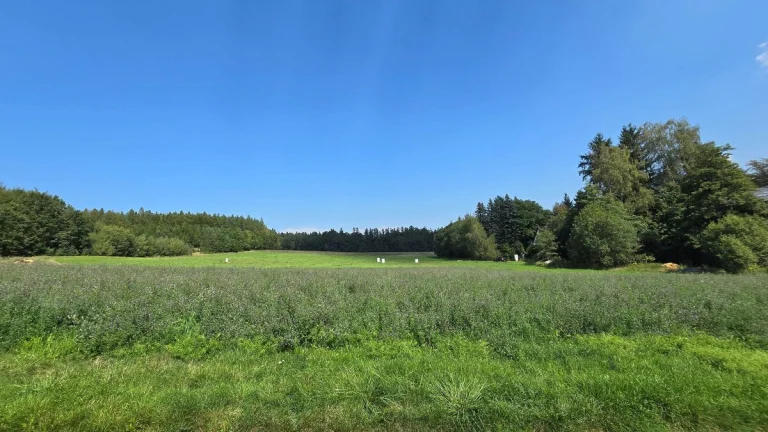 Prodej pozemku pro bydlení, 1 500 m2 - Jevany, ev.č. 00484