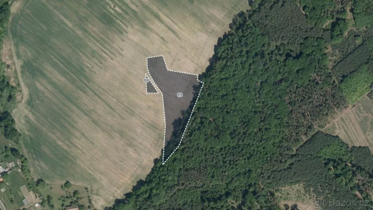 Zemědělská půda, prodej, Morašice, Pardubice