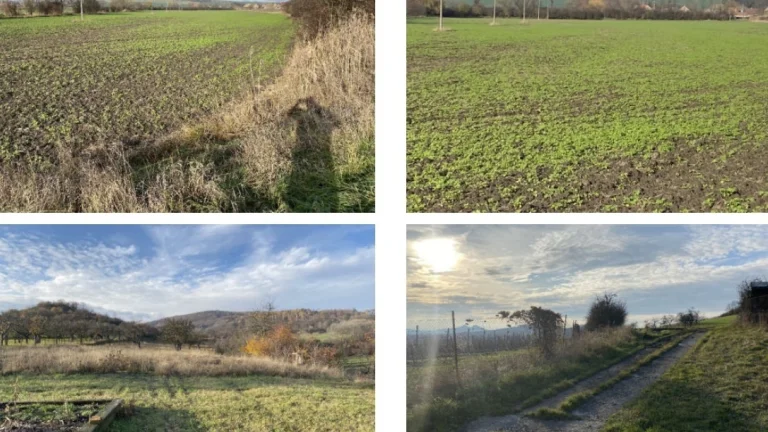 Soubor pozemků 153 048 m2 v k.ú. Chrášťany, ID 7262e 2705