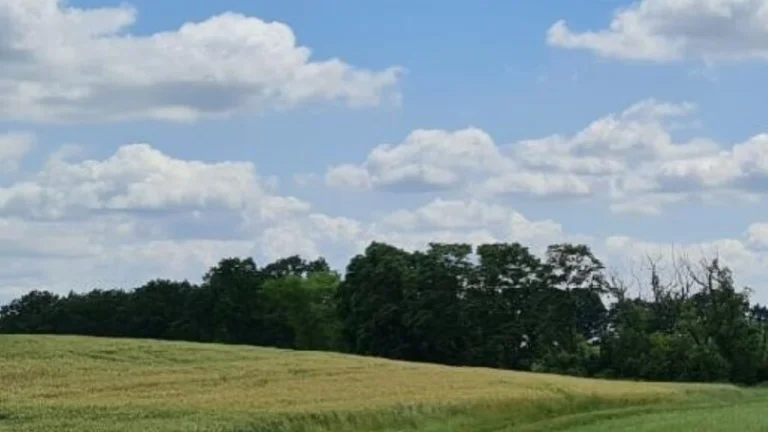 Prodej pole 19.020 m² Libošovice - Dobšice