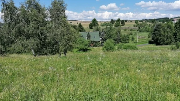 Dům (chalupa) v Krušných horách u hranic s Německem