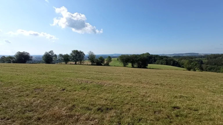 Louka o výměře 50.034m2 s výhledem na Černou horu - Vrchlabí