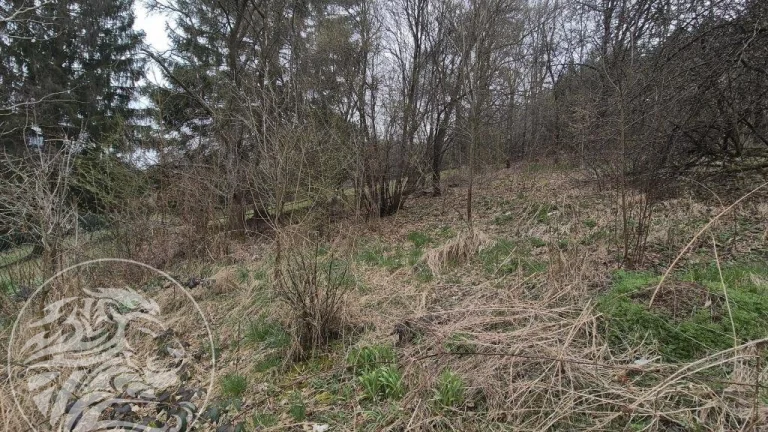 Spoluvlastnický podíl na stavebních pozemcích v Rokytnici u