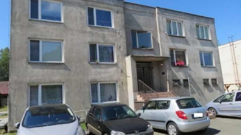 Byt 3+1 se sklepem v Borohrádku, ID 7286e 1106