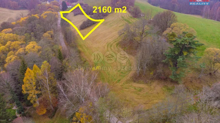 Prodej pastviny, 2160 m², Hajnice