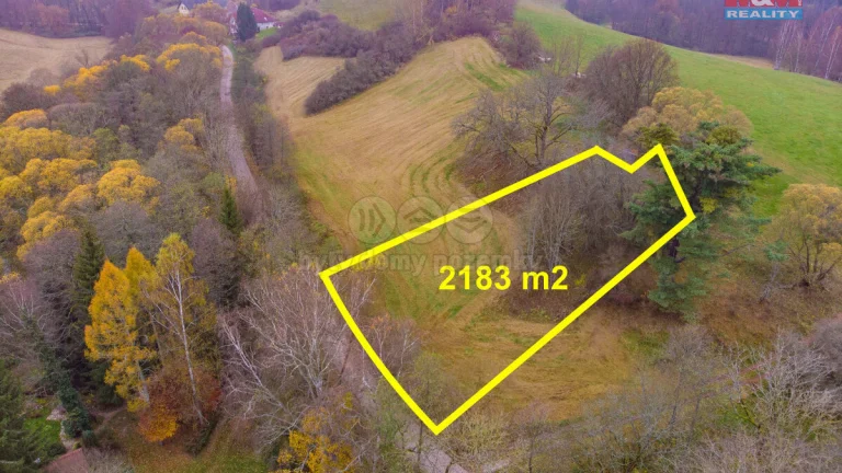 Prodej pastviny, 2183 m², Hajnice