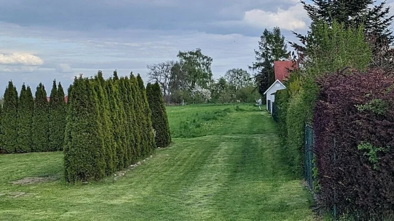 Prodej stavebního pozemku 1 000 m² Brumovice