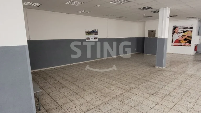 PRONÁJEM OBCHODNÍCH PROSTOR 48 m2, 131239