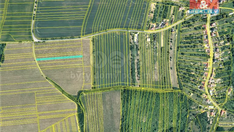 Prodej vinice, 1728 m², Hostějov