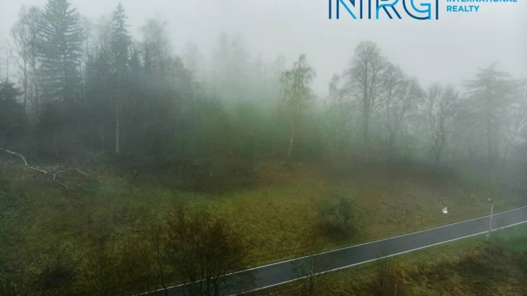 Prodej louky, 2936 m2, Bartošovice v Orlických horách