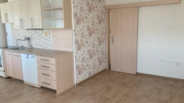 Hradec Králové, Na Kotli, 55m2