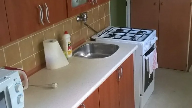 Pronajmu pěkný byt 1+1, 44 m2