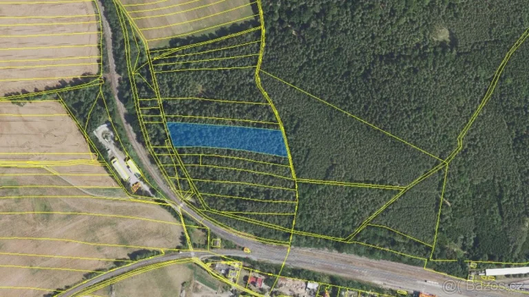 Prodej lesa s příjezdovou cestou