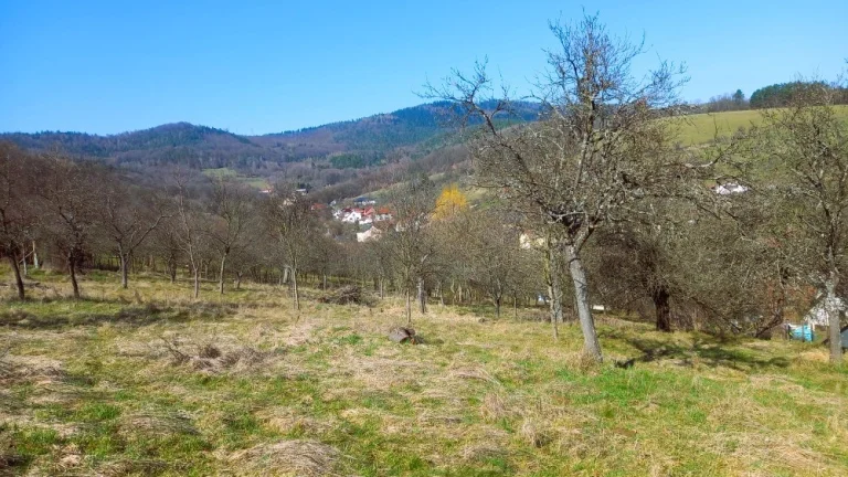 Stavební parcela vč. st. povolení, sad, louka 26 074 m2