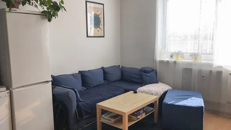 Prodej světlého a prostorného bytu 3+KK u Hamerského rybníka