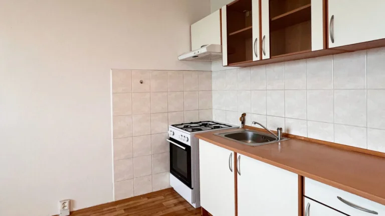 Pronájem bytu 1+1 Smetanovy Sady 1553, Jirkov