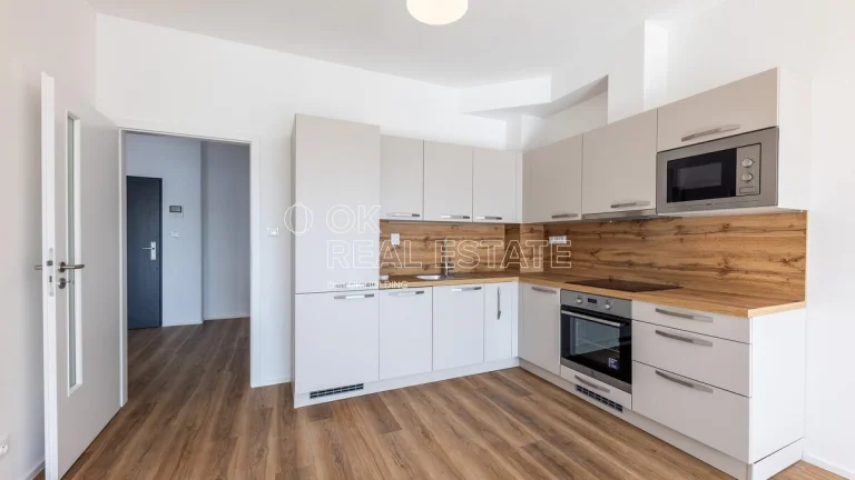 Pronájem byty 2+kk, 65 m2 - Plzeň - Skvrňany, ev.č. 00733