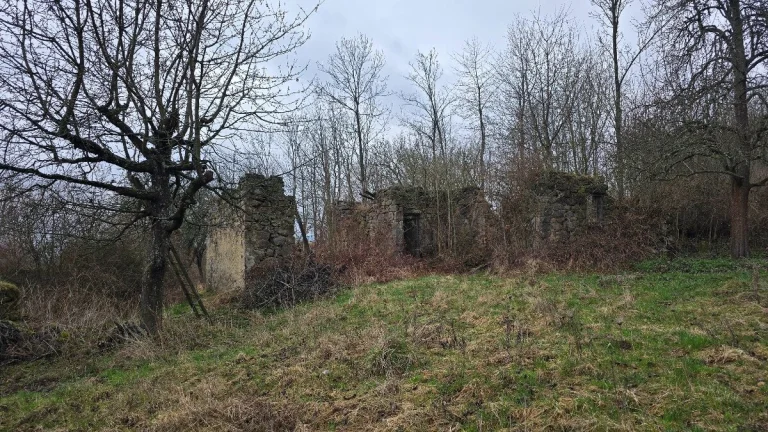 Budinské Lazy - ruina domu na pozemku 1435m2