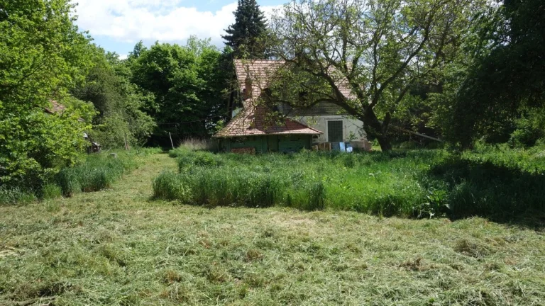 Prodej hájovny s velkým stavebním pozemkem