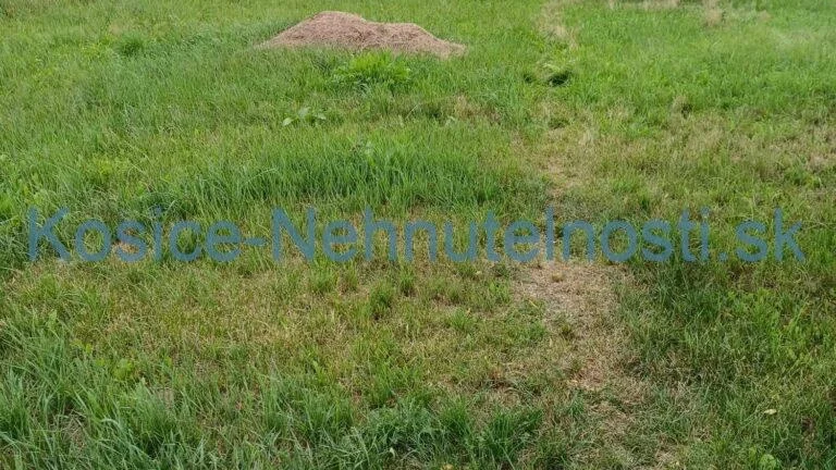 Predaj pozemok v obci Slivník okres Trebišov