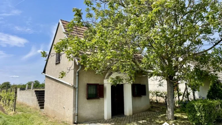 Prodej, Vinný sklep, 1755m2, Mikulčice