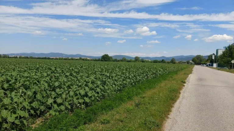 BRANDreal - Pozemok 2400 m2 Piešťany