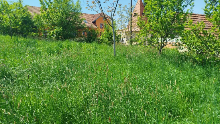 Stavební pozemek v čisté přírodě Lubná u Kroměříže 842 m²