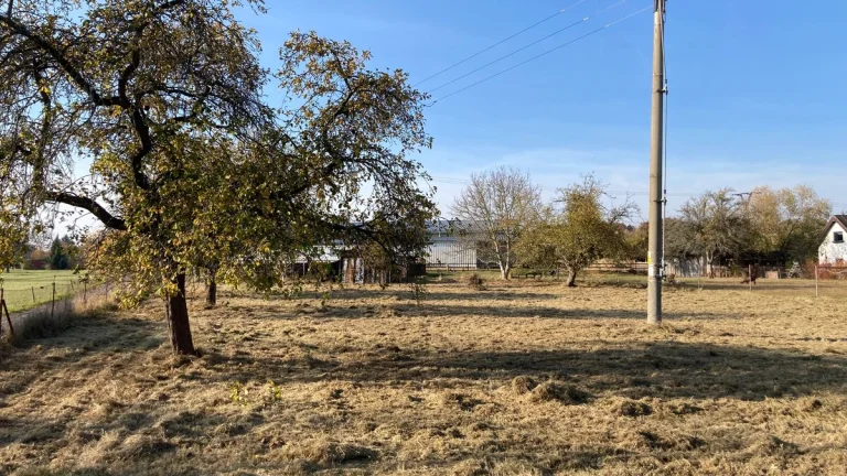 Zahrada v Chlumci nad Cidlinou