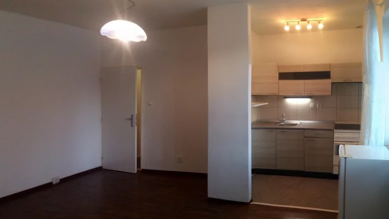 Pronájem bytu 1+kk, Alberta Kučery, Hrabůvka, Ostrava