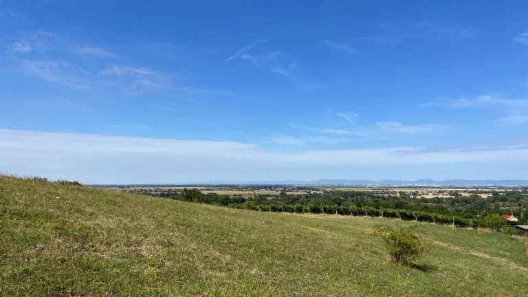 Pozemok na tichom mieste vedľa vinohradu