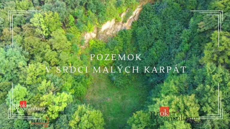 Pozemok Lošonec, na predaj