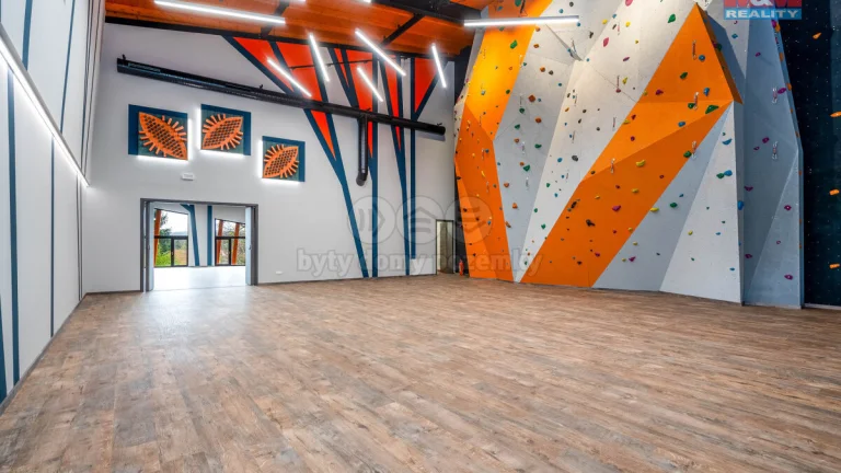 Prodej multifunkčního rodinného domu, 1076 m²