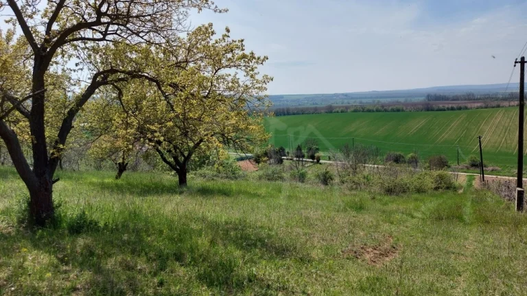 Rozľahlý pozemok na samote vhodný na stavbu blízko vinársk