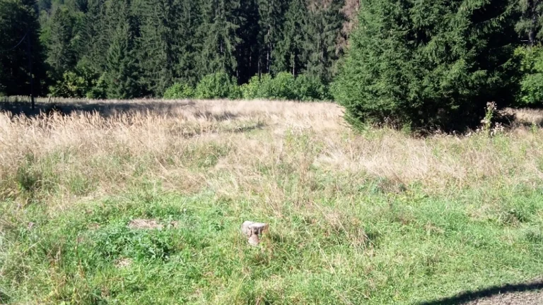 Pozemok na chatu v srdci prírody na Šturci, Veľká Fatra