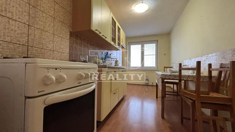 3+1 IZBOVÝ BYT 74 m2 S LODŽIOU RYBANY