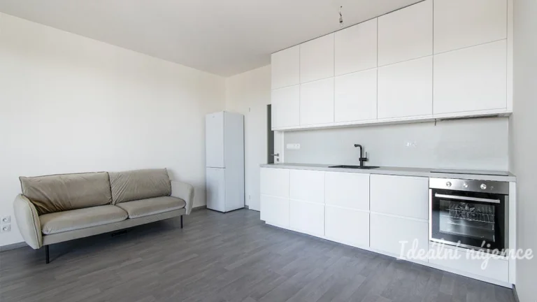 Pronájem bytu 1+kk, Olgy Havlové, Žižkov, 17600 Kč/měs, 38 m