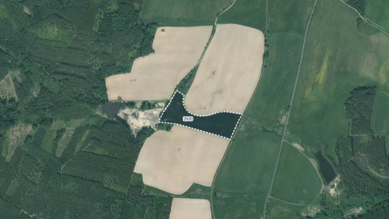Louka, prodej, Stráž, Tachov