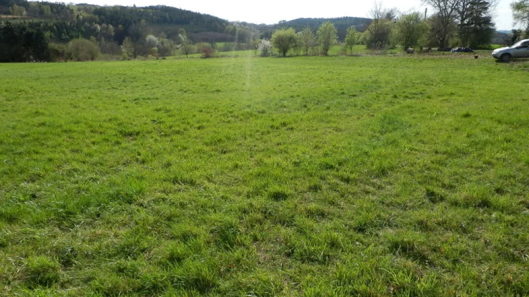Prodej, stavební pozemek, 3 900 m2, Vojkov, okres Benešov