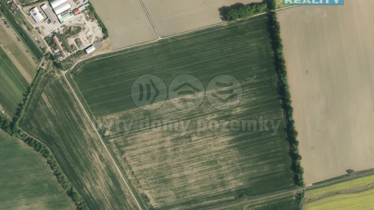 Prodej pole, 18317 m², Bílany