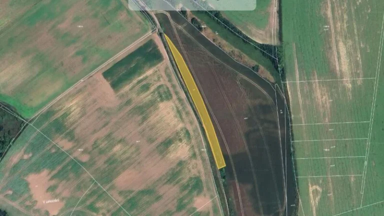 Prodej pole v k.ú. Dobřichov