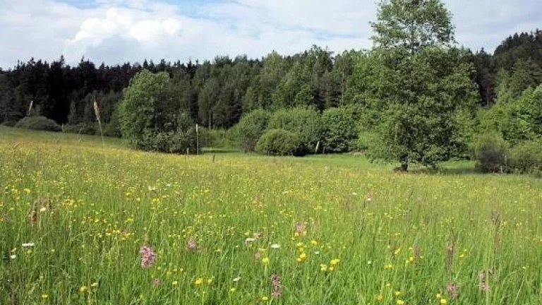 Prodej pozemku Těrlická přehrada 1392m2