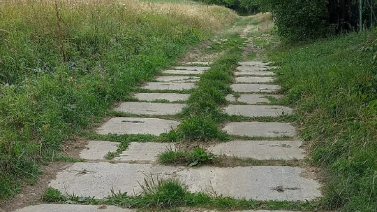 Predaj pozemkov Jakovany