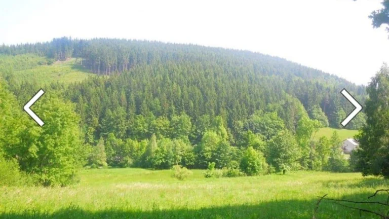 Pozemek 2234 m2 v Zubří