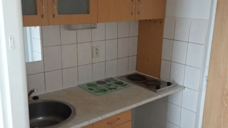 Žádná realitka 1 kk