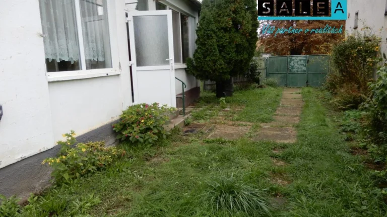 Slnečný rodinný dom, 100 m2, garáž, Veľké Kozmálovce, okr. L