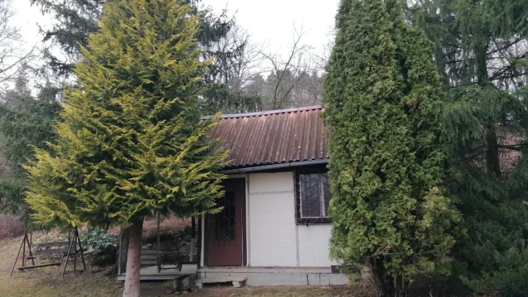 Pronajem zajrady